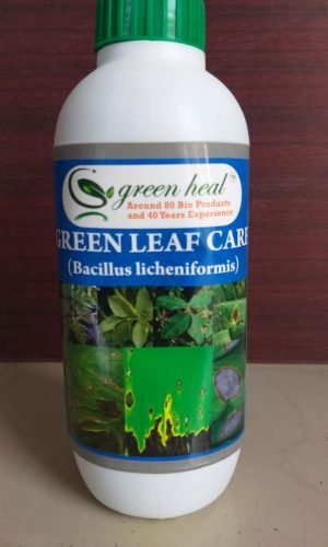 green leafcare